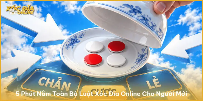 Cầu Chẵn Xóc Đĩa - Hướng Dẫn Luật Chơi Dành Cho Người Mới 5 Phút Nắm Toàn Bộ Luật Xóc Đĩa Online Cho Người Mới