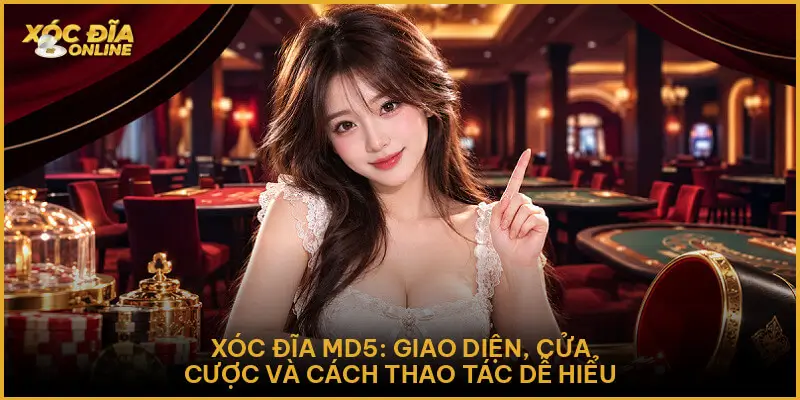 Xóc Đĩa Md5 - Giao Diện, Cửa Cược Và Cách Thao Tác Dễ Hiểu Xóc Đĩa Md5: Giao diện, cửa cược và cách thao tác dễ hiểu